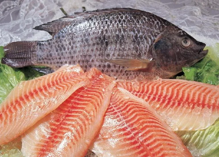 TILAPIA NEGRA - Image 2