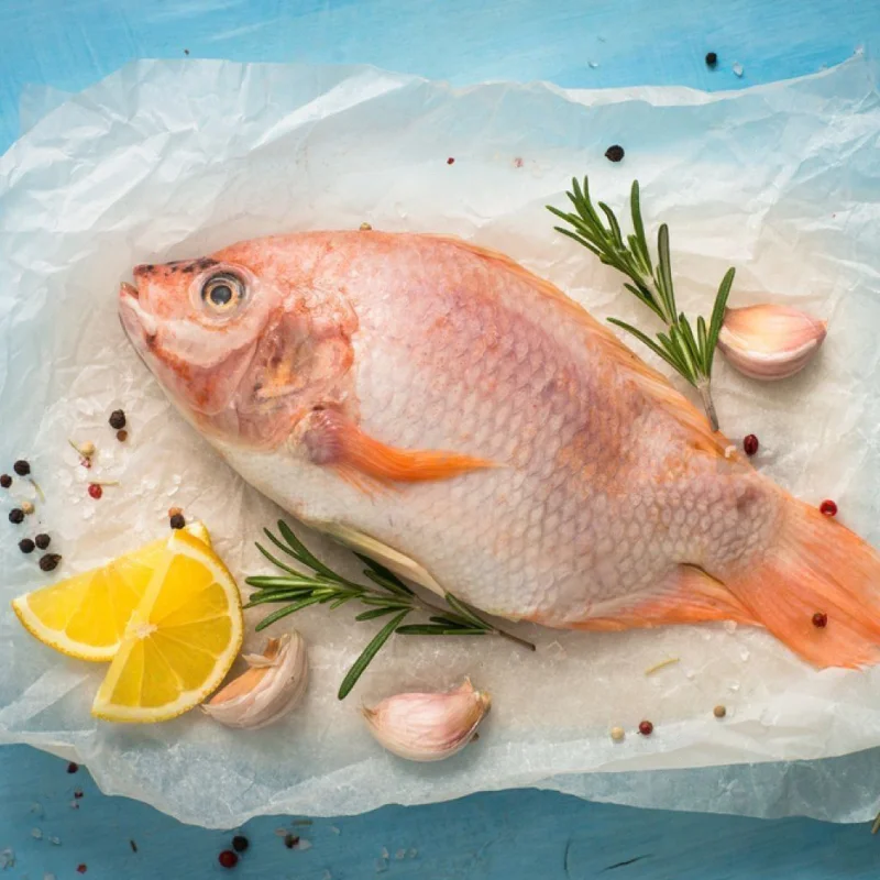 TILAPIA MEDIANA - Image 2