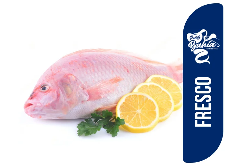TILAPIA GRANDE